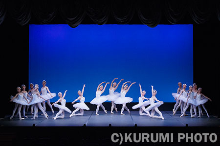 swanlake01